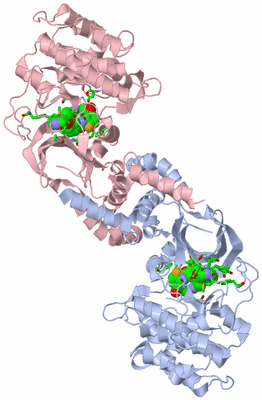 Image Biol. Unit 1 - sites