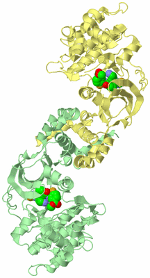 Image Biological Unit 2