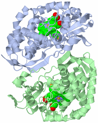 Image Asym./Biol. Unit