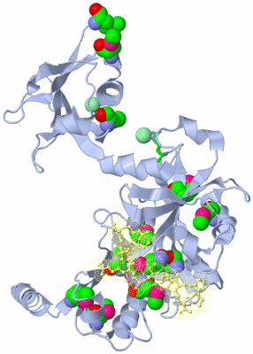 Image Biol. Unit 1 - sites