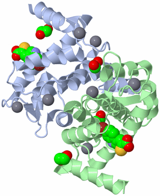 Image Asym./Biol. Unit