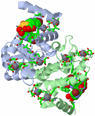 Image Asym./Biol. Unit - sites