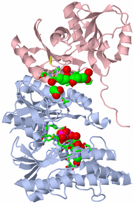 Image Biol. Unit 1 - sites