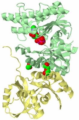 Image Biological Unit 2