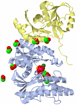 Image Biological Unit 1