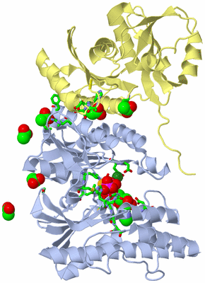 Image Biol. Unit 1 - sites