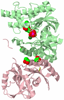 Image Biological Unit 2