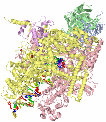 Image Biological Unit 1