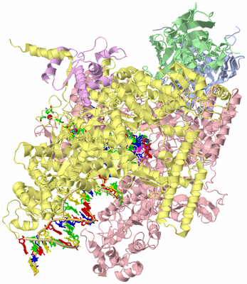 Image Biol. Unit 1 - sites