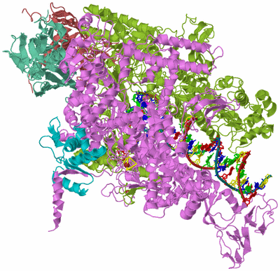 Image Biological Unit 2