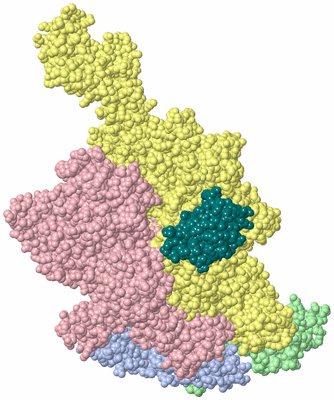 Image Biol. Unit 1 - sites