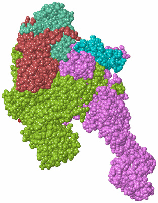 Image Biological Unit 3