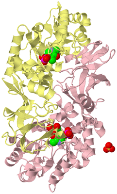 Image Biological Unit 2