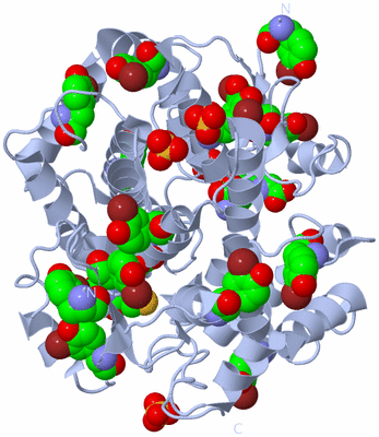 Image Biological Unit 1