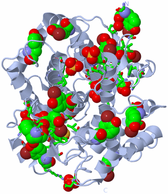 Image Biol. Unit 1 - sites