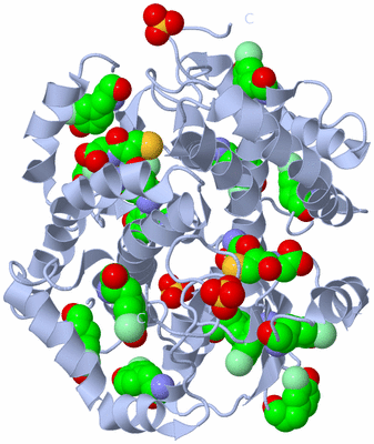 Image Biological Unit 1