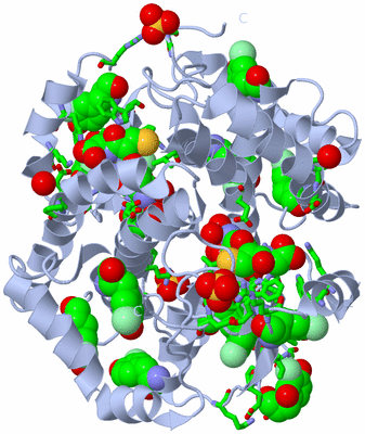 Image Biol. Unit 1 - sites