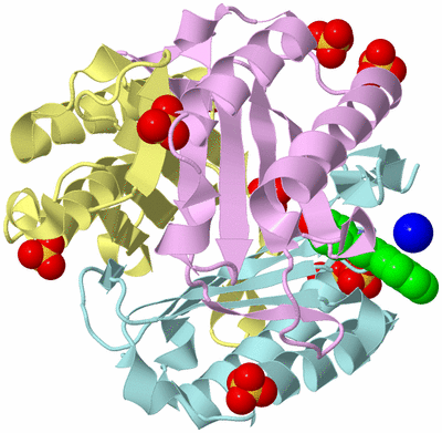 Image Biological Unit 2