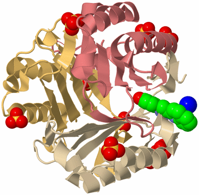 Image Biological Unit 3