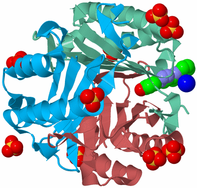 Image Biological Unit 4