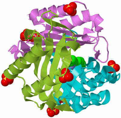 Image Biological Unit 5