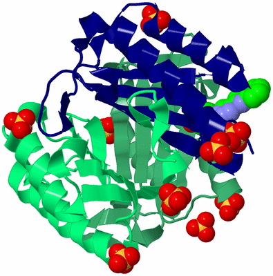 Image Biological Unit 6