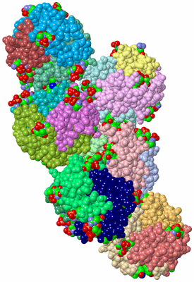 Image Asym. Unit - sites