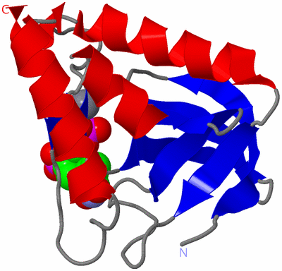 Image Asym./Biol. Unit