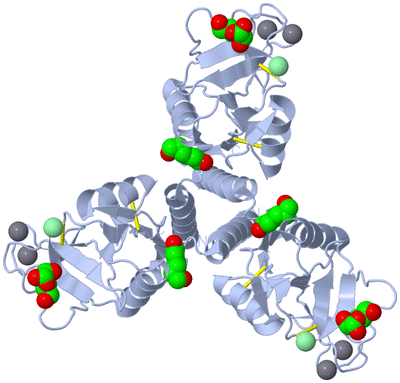 Image Biological Unit 1