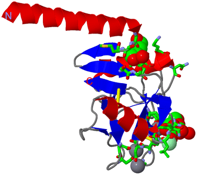 Image Asym. Unit - sites