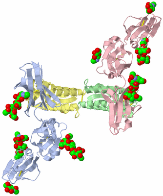 Image Asym./Biol. Unit