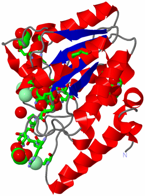 Image Asym./Biol. Unit - sites