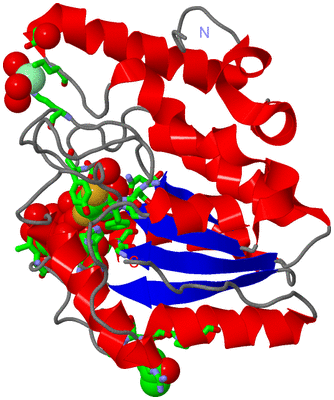 Image Asym./Biol. Unit - sites