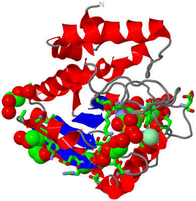 Image Asym./Biol. Unit - sites