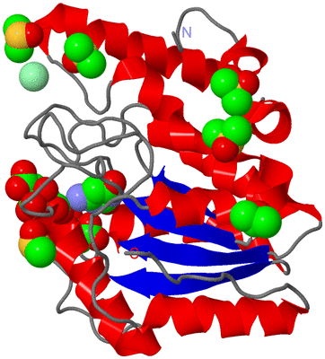 Image Asym./Biol. Unit