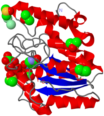 Image Asym./Biol. Unit