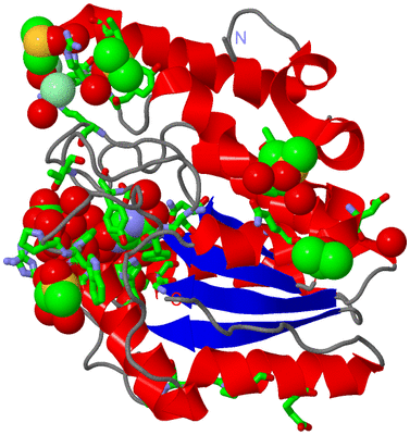 Image Asym./Biol. Unit - sites