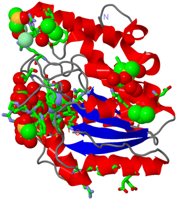 Image Asym./Biol. Unit - sites