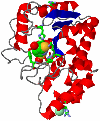 Image Asym./Biol. Unit - sites