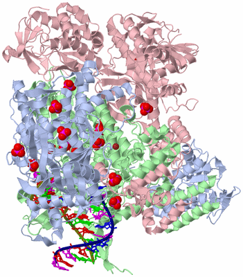 Image Asym./Biol. Unit