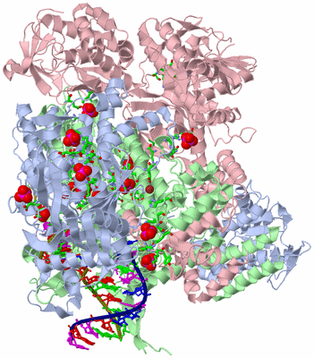 Image Asym./Biol. Unit - sites