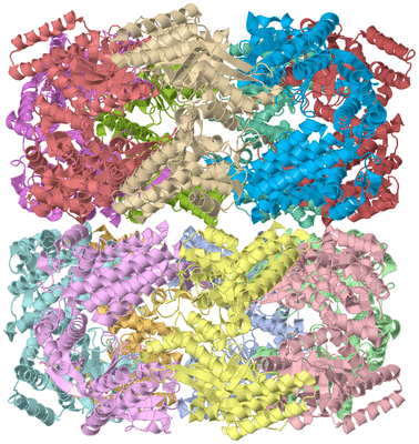 Image Asym./Biol. Unit