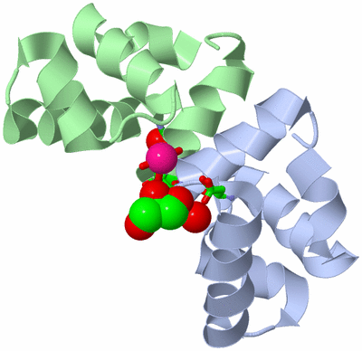 Image Asym./Biol. Unit - sites