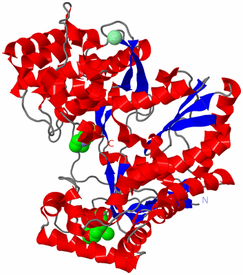 Image Asym./Biol. Unit