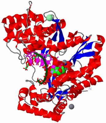 Image Asym./Biol. Unit