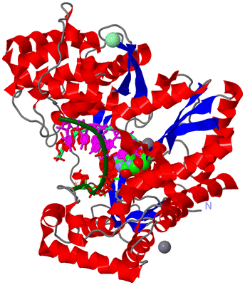 Image Asym./Biol. Unit