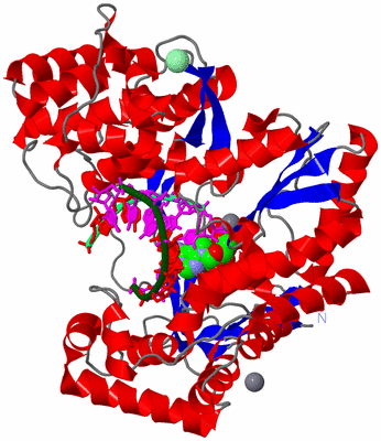 Image Asym./Biol. Unit