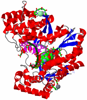 Image Asym./Biol. Unit - sites