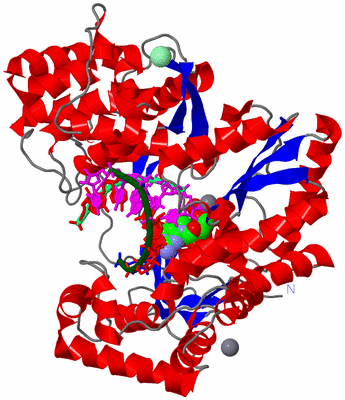 Image Asym./Biol. Unit