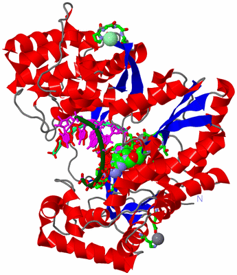 Image Asym./Biol. Unit - sites